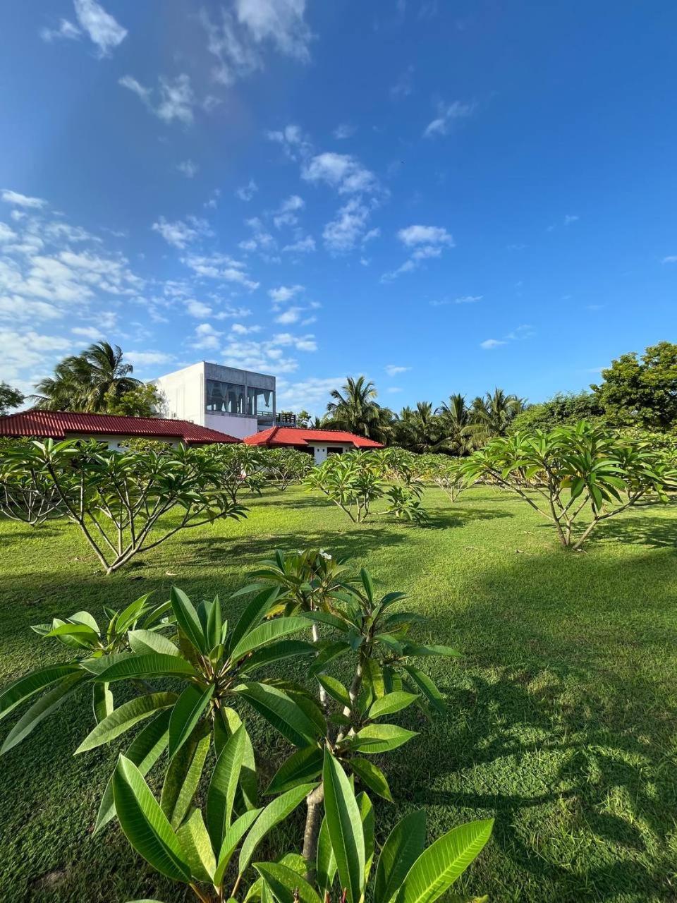 Nn Beach Resort & Spa Nilaveli Eksteriør bilde